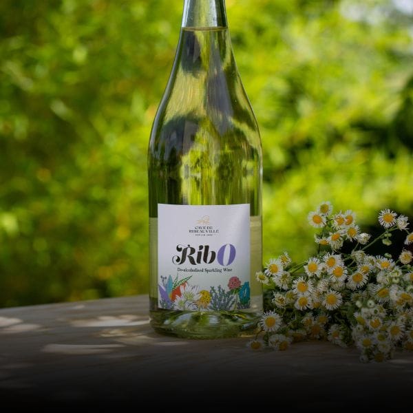 Vins Désalcoolisés